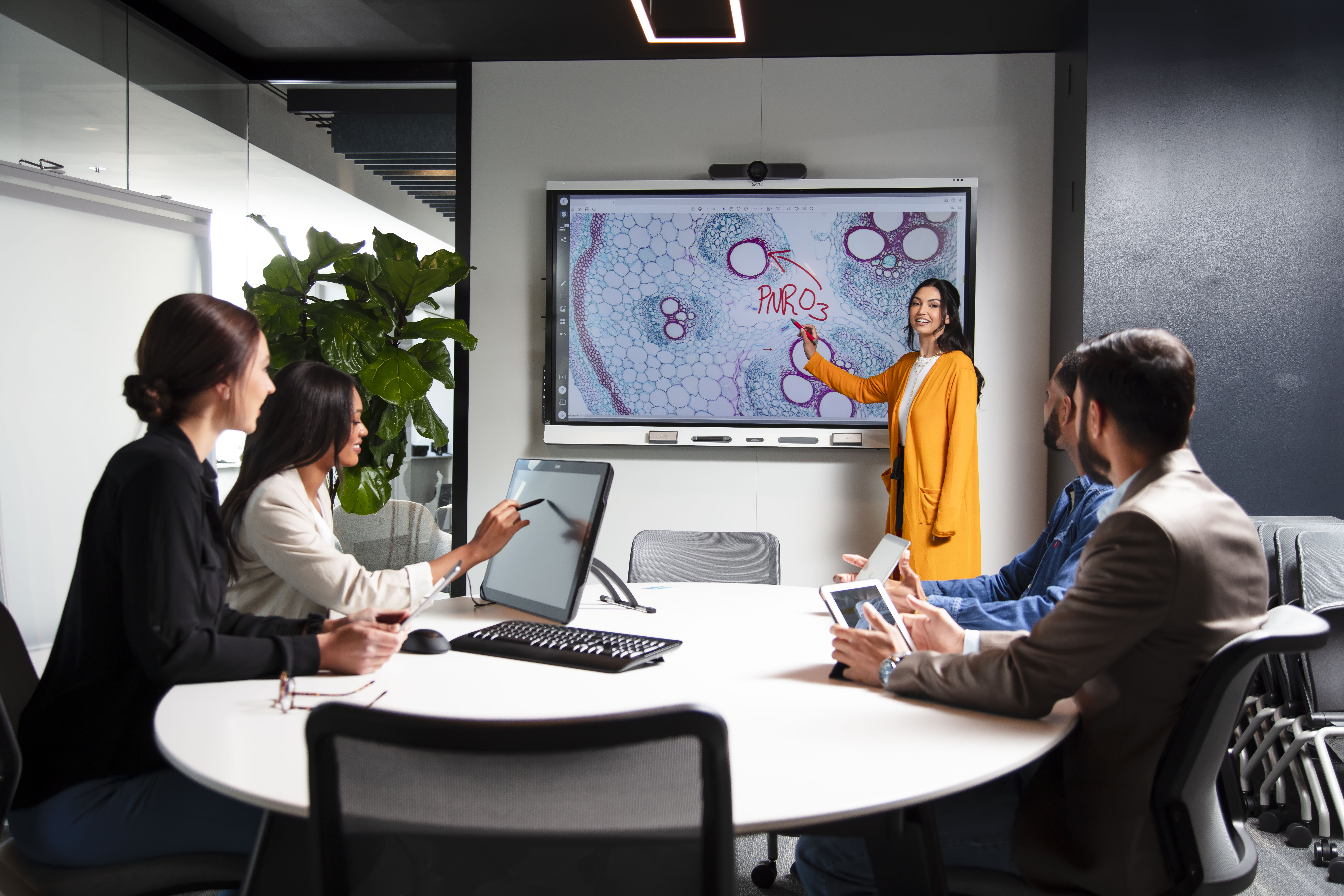 Touch screen Smart technologies